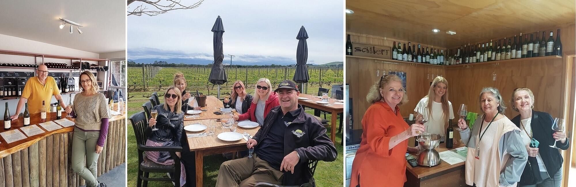 martinborough wine tours winery tour Vineyard Martinborough